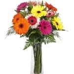 Fête des femmes de ménage